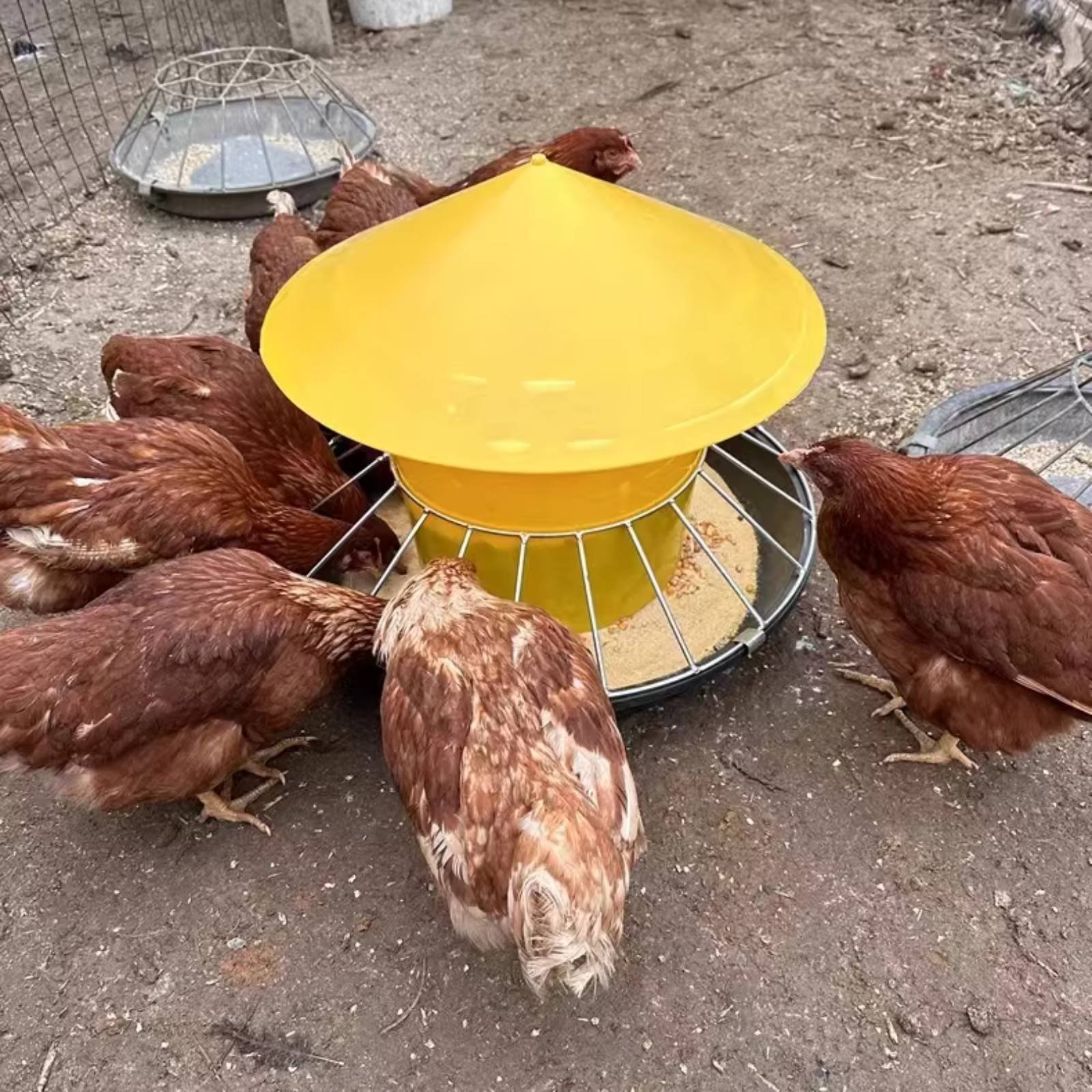 Ronde pluimveevoederbak Pluimv - Feeding recensie en prijs